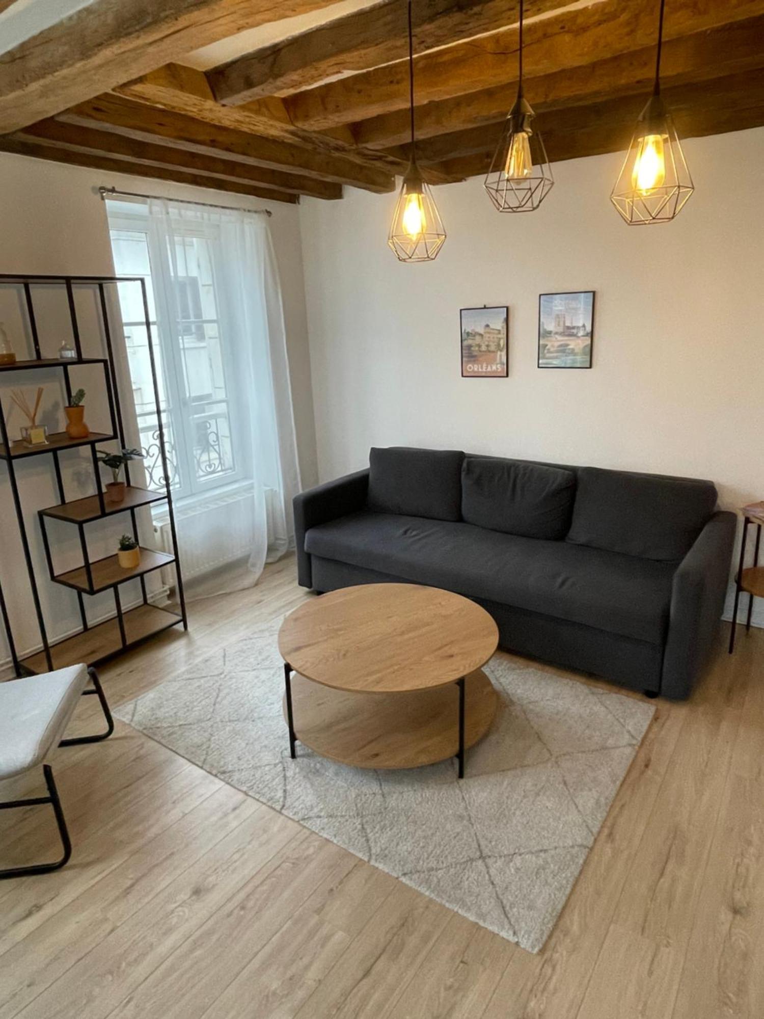 Charmant Appartement Orleans ! Eksteriør bilde